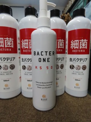 RISE BACTER ONE バクターワン 300ml : アクアテイラーズヤフー