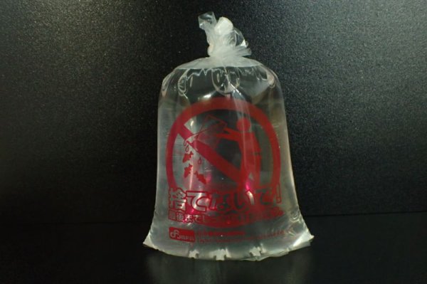 画像2: 当店自慢の飼育水 活性上がります! (2)