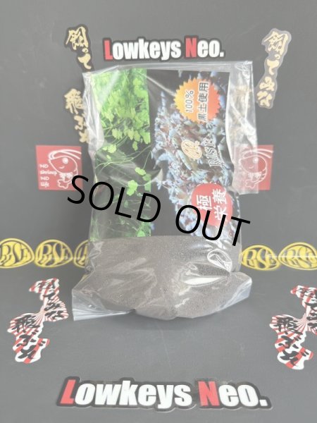 画像1: 新発売！energy soil ノーマル　1L (1)