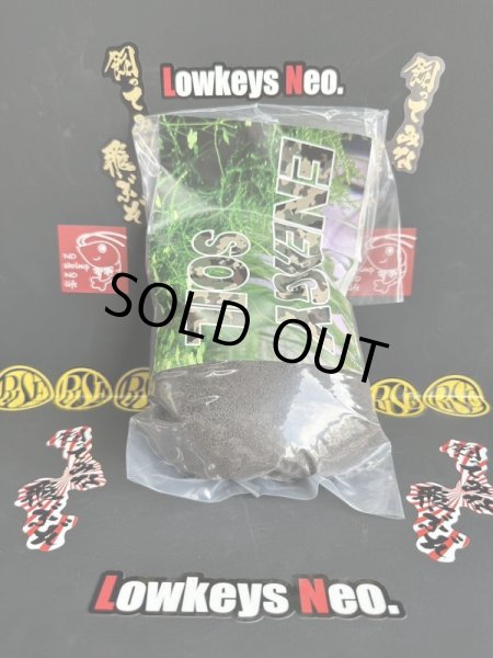 画像2: 新発売！energy soil ノーマル　1L (2)
