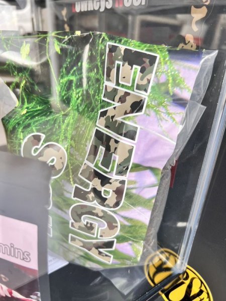 画像2: 水槽立ち上げフルセット！（ノーマルバージョン） (2)