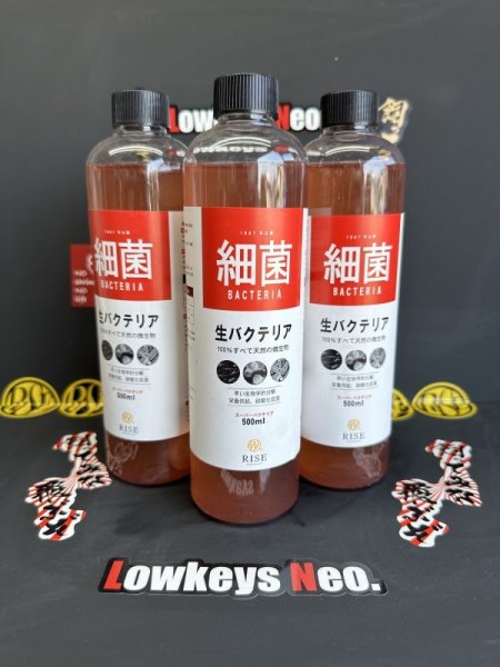 画像1: ゲリラSALE!24時まで50%OFF生バクテリア3本SET！ (1)