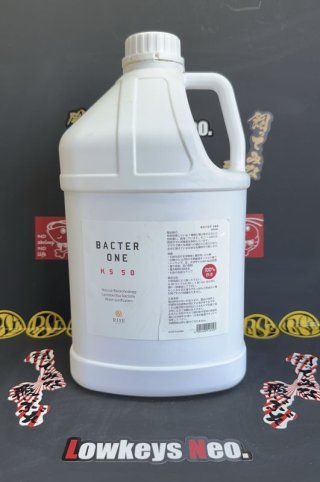 レスターファインxライズ】 シーズ コンダクター 56H スピニング