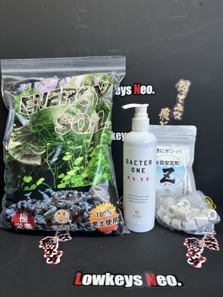 画像1: GW買い忘れSALE！爆殖水槽立ち上げセット(ノーマルソイル ) 50％OFF (1)