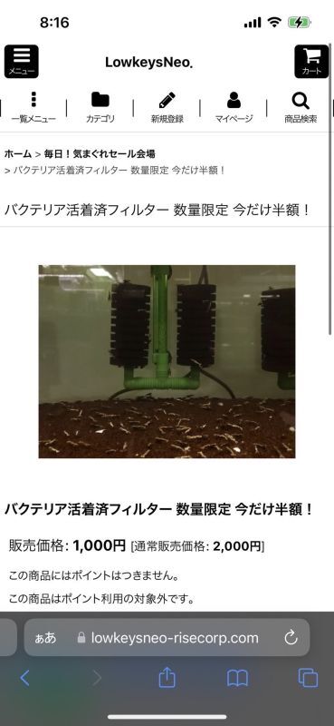 凄いの出てます‼️