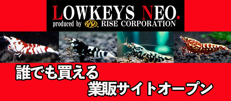 業販リストページ